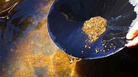 forum.sexy-egirls.com|Lauren loves the panning for gold : r/TigerKing